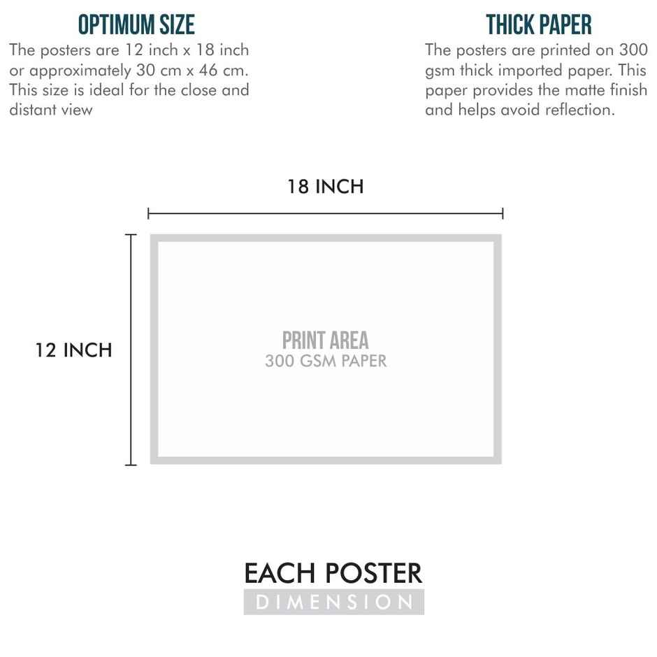 Paper Plane Design Inspirational Motivational Wall Posters | Set Of 3 | Size 12 x 18 Inch | D68