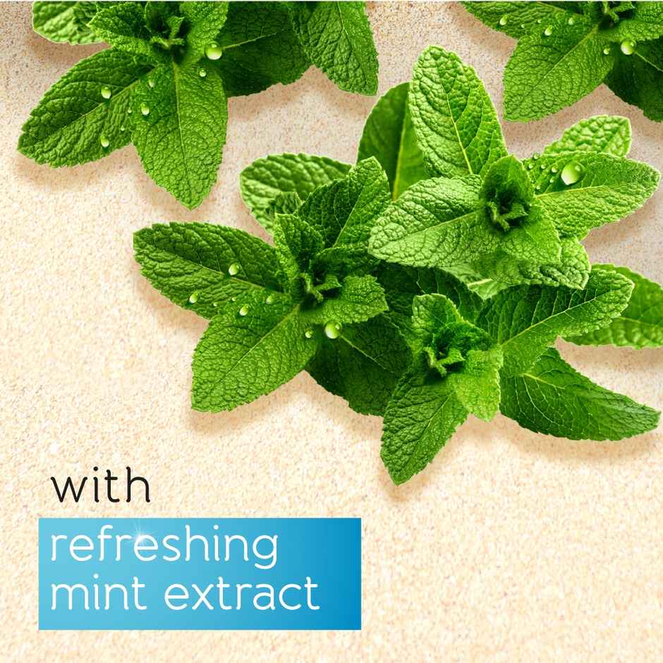 Pears Soft & Fresh Shower Gel SuperSaver XL Pump Bottle with 98% Pure Glycerine