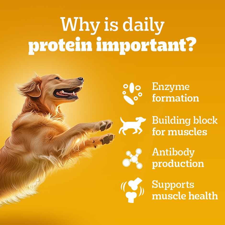 Pedigree Adult Roasted Lamb Flavour Chunks In Gravy Wet Dog Food
