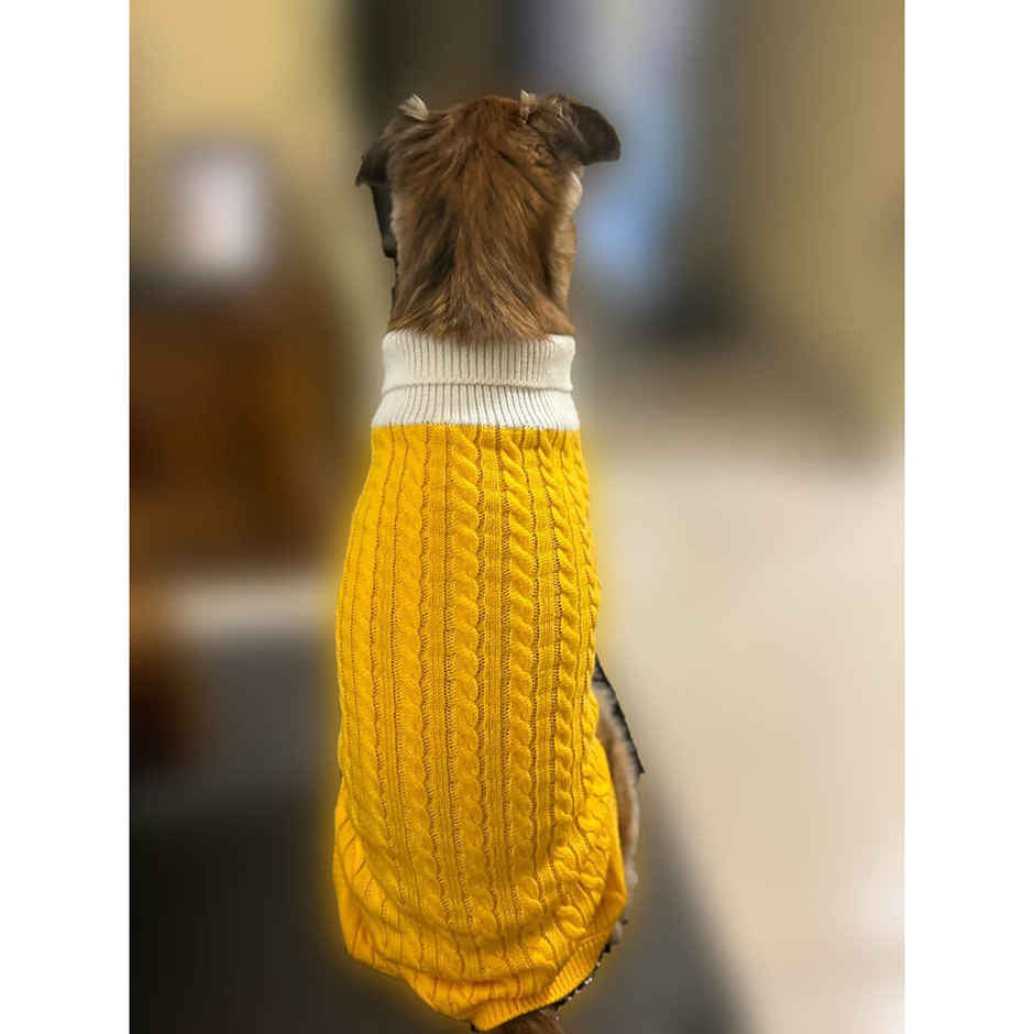 Bearhugs Yellow Highneck Sweater For Dogs M