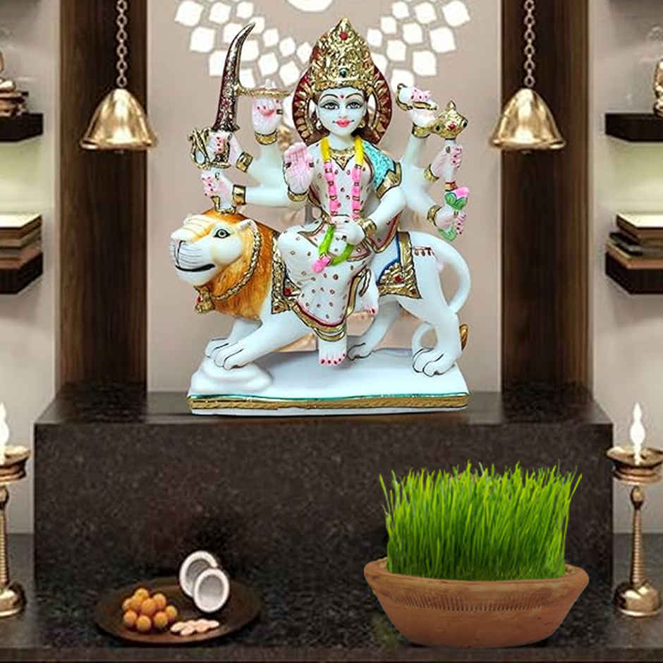 Clay Sakora Terracotta Bowl | Mangal Bhawan