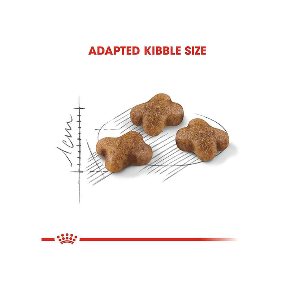 Royal Canin Kitten Cat Dry Food