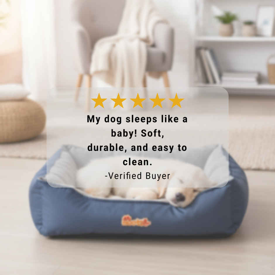 Nootie Anti-Slip Bed for Small Dogs & Cats - Blue & Grey