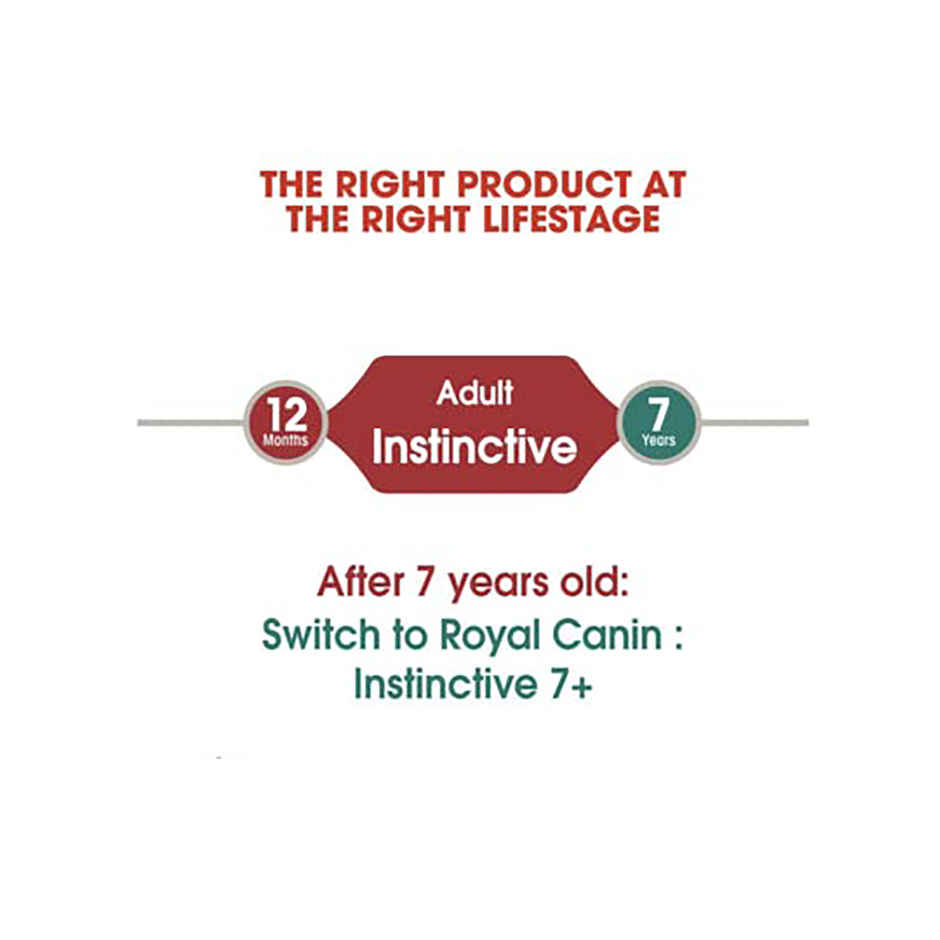 Royal Canin Instinctive Gravy Cat Wet Food