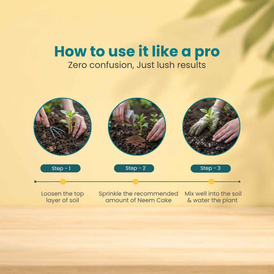 Zamia Neem Cake Powder | Organic Fertilizer & Soil Conditioner | By Nurturing Green