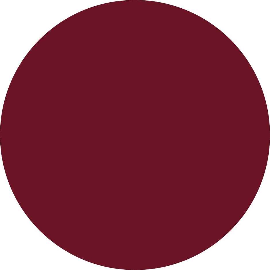 Renee Everstay Long Stay Matte Lipstick 04 Berry Blaze