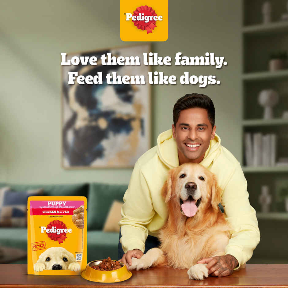 Pedigree Puppy Chicken & Liver Chunks In Gravy Wet Dog Food