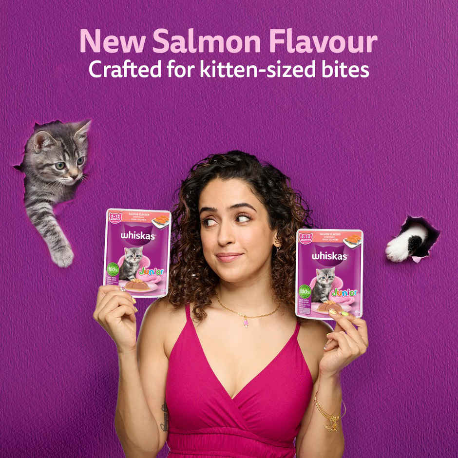 Whiskas Kitten Wet Cat Food Salmon in Jelly
