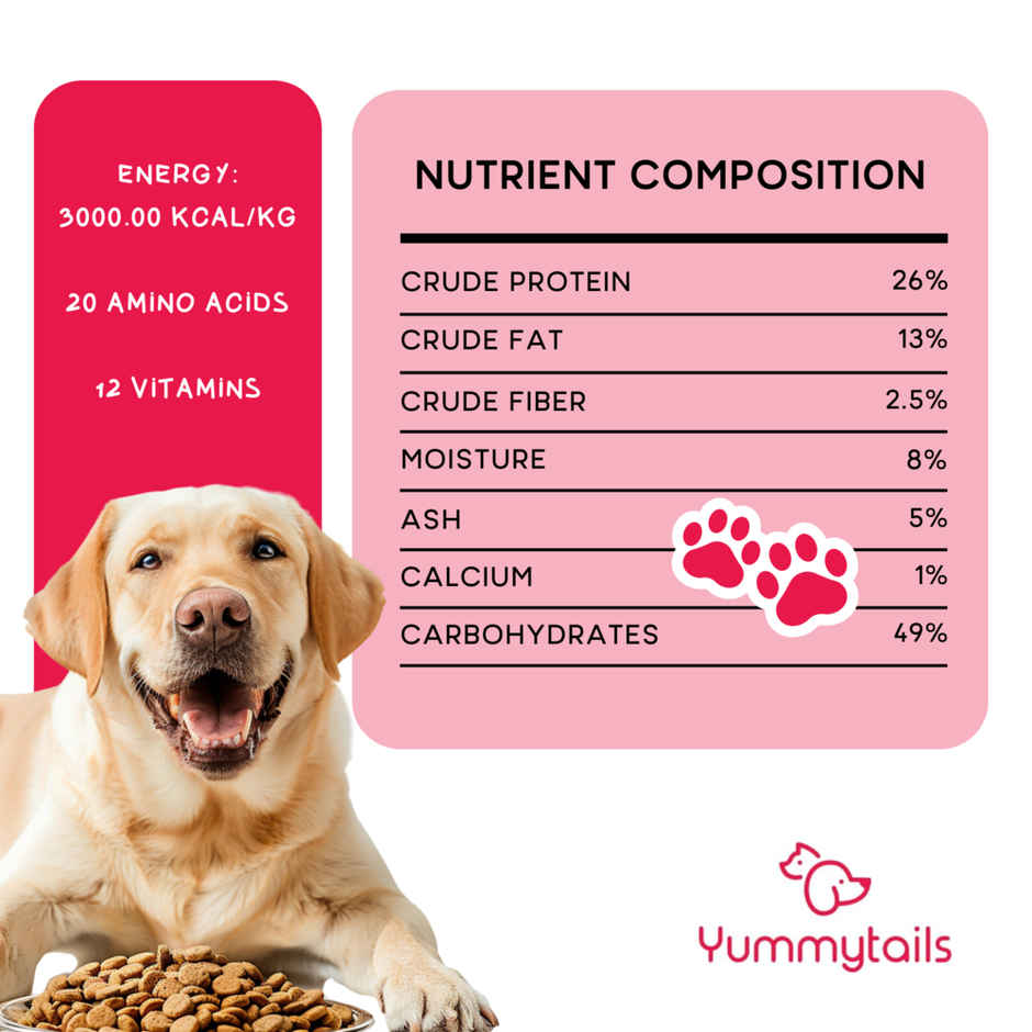 Yummytails Adult Dog Food Dry Kibble | 75% Chicken and Fish Protein Combo