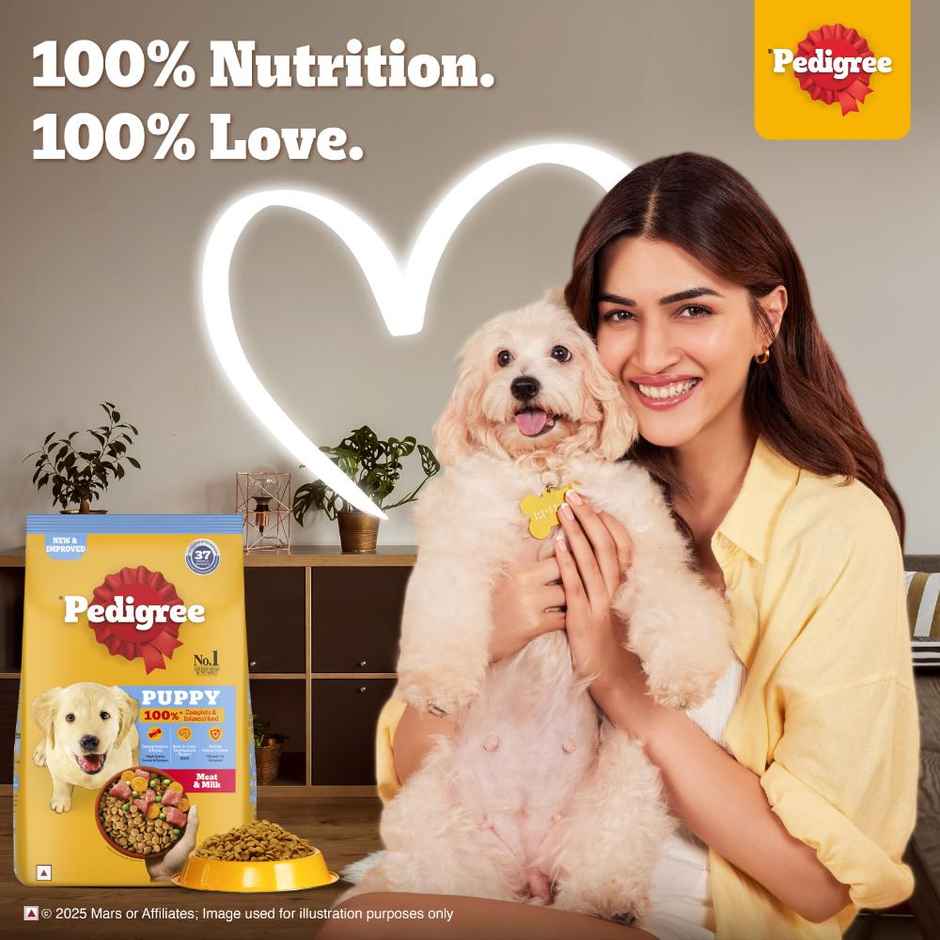 Pedigree Puppy Meat & Milk Dry Dog Food