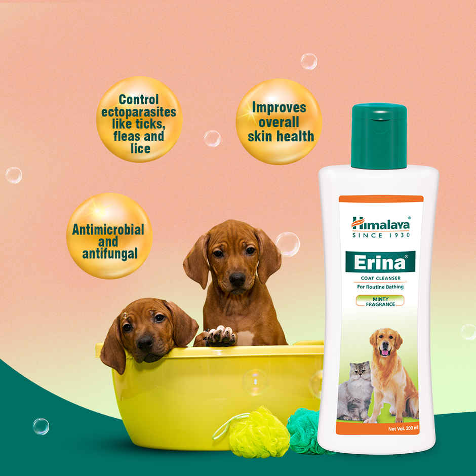 Himalaya Erina Coat Cleanser India