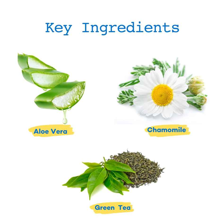 The Good Paws Awesome Pawsome 4 In 1 Shampoo