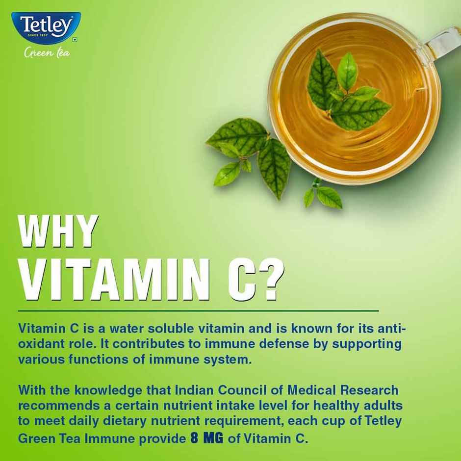 Tetley Classic Green Tea