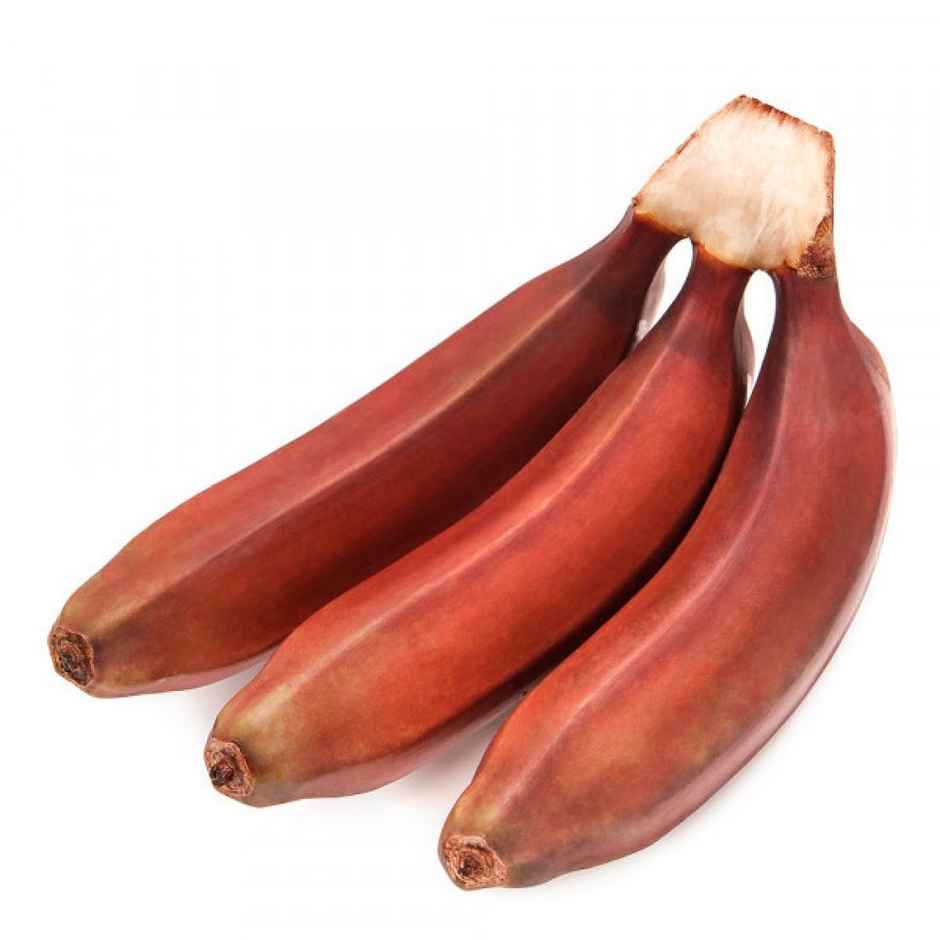 Organic Banana Red