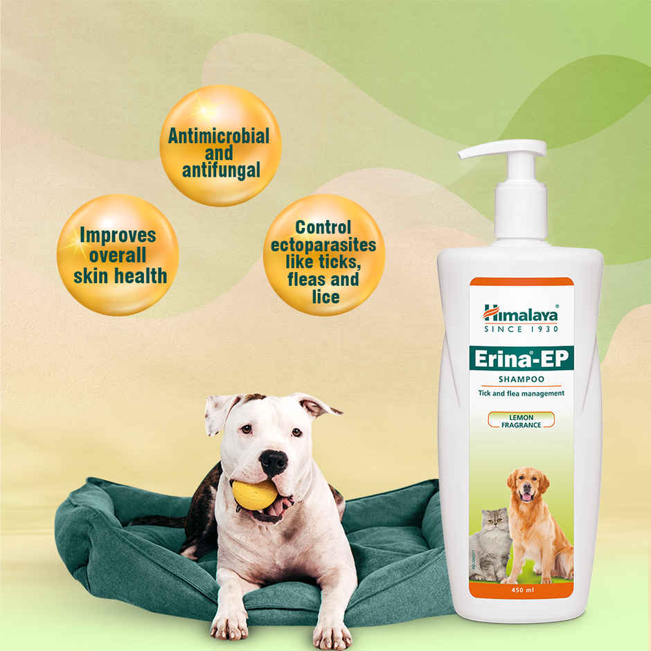 Himalaya Erina-Ep Shampoo India