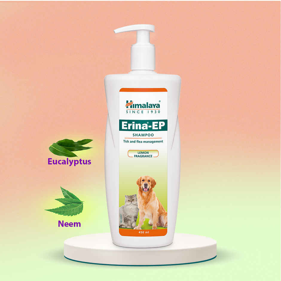 Himalaya Erina-Ep Shampoo India