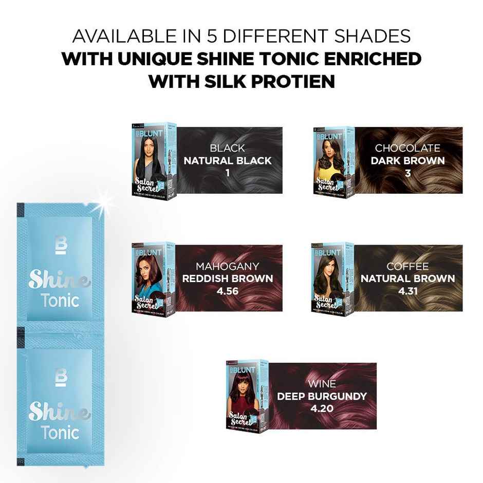 Bblunt Salon Secret High Shine Creme Hair Colour Black Natural Black