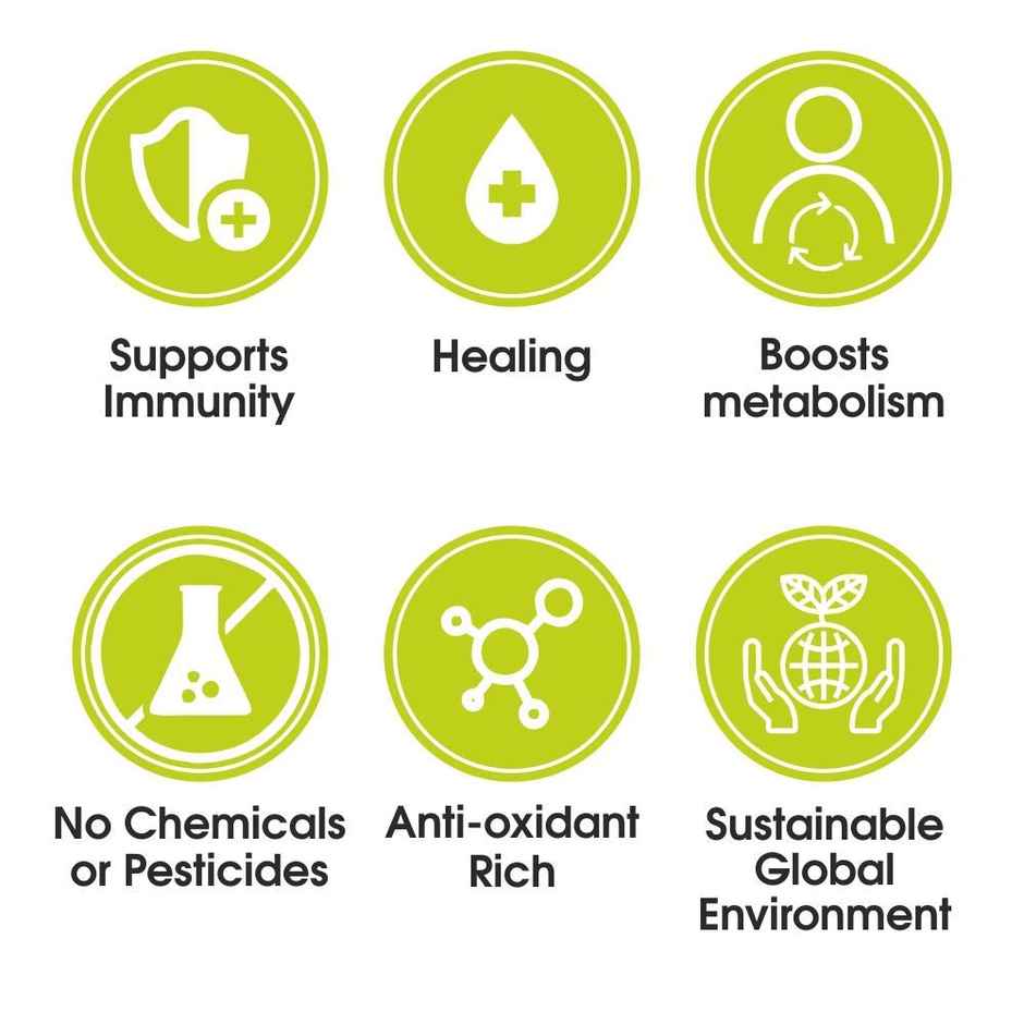 Typhoo Basil Organic Green Tea