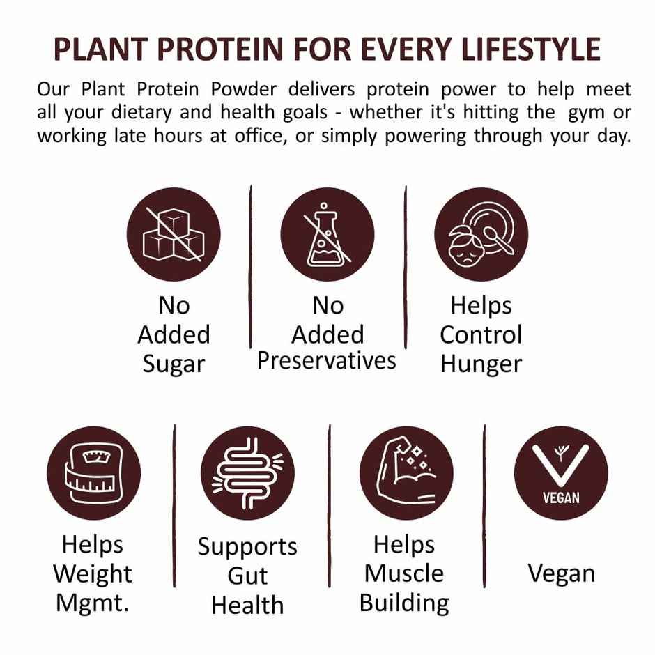 Ritebite Max Protein Alphanso Mango Plant Protein Powder