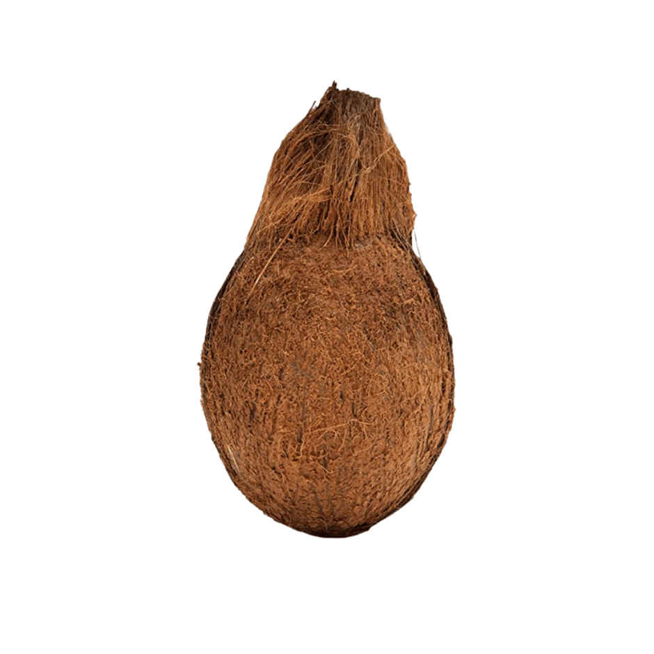 Coconut Pollachi Jumbo Premium