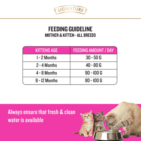 Signature Grain Zero Kitten Dry Cat Food Free With Container