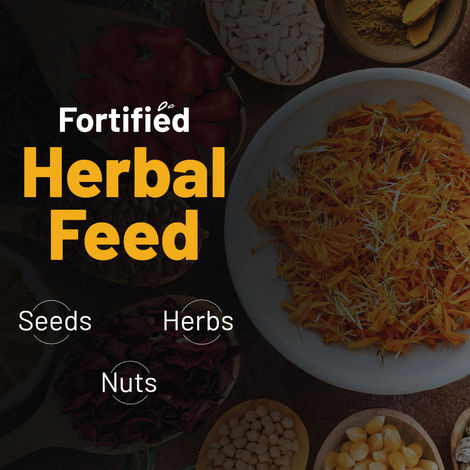 Eggoz Nutra Plus Speciality Eggs with Omega 3 | Selenium and Vitamins