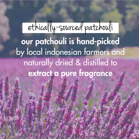 Love Beauty & Planet Onion, Blackseed & Patchouli Hairfall Control Conditioner