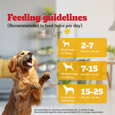 Pedigree Biscrok Chicken Flavour Dog Biscuits