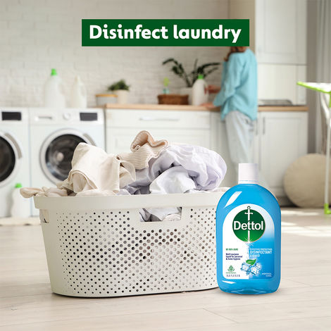 Dettol Menthol Cool Disinfectant Liquid Floor Cleaner