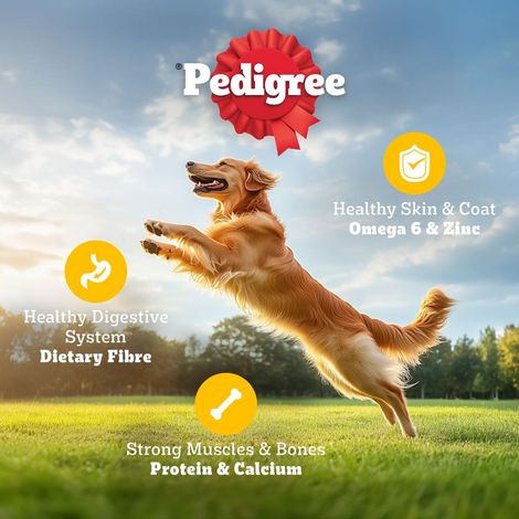 Pedigree Adult Meat & Rice Dry Dog Food
