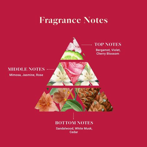 Adeha Whispering Woods Air Freshener | Pouch