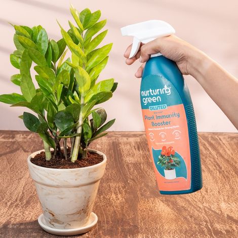 Nurturing Green - Immunity Booster Spray | 650ml | Liquid Fertilizer Plant Booster Spray Bottle
