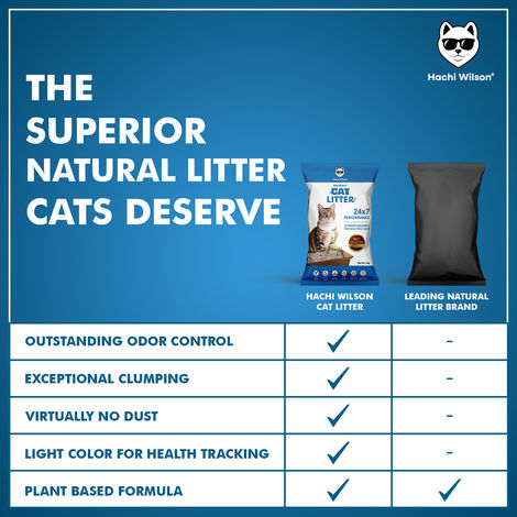 Hachi Wilson Premium Cat Litter Globally No1 Cat Litter