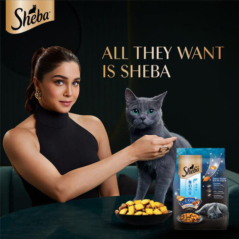 Sheba Kitten and Adult Salmon Flavour Dry Cat Food