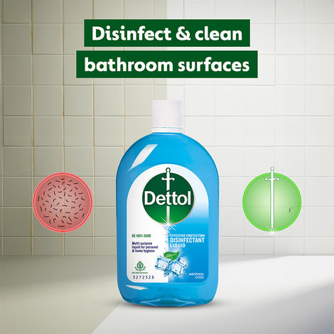 Dettol Menthol Cool Disinfectant Liquid Floor Cleaner