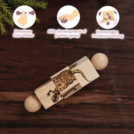 Ariro Toys Rotating Puzzle - Amphibians