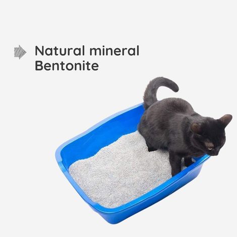 BearHugs Bentonite Cat Litter - Unscented