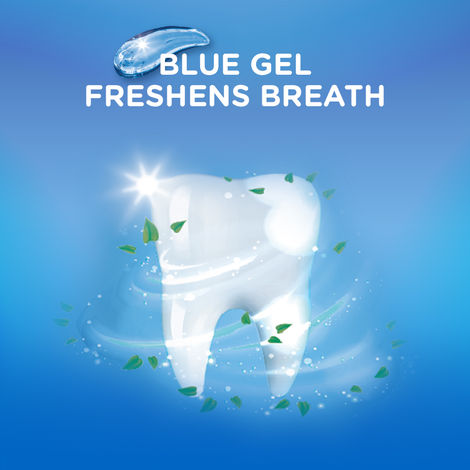 Pepsodent 2 In 1 Germ Fighting Formula