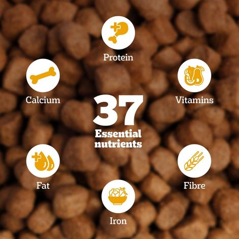 Pedigree Adult Meat & Rice Dry Dog Food Food