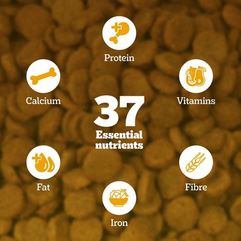 Pedigree Adult Chicken-Egg & Rice Dry Dog Food