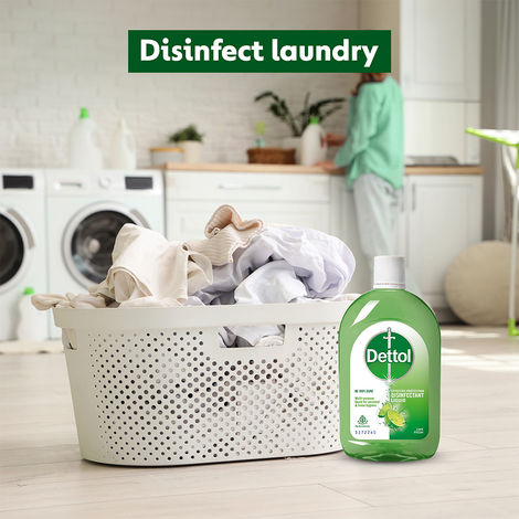 Dettol Lime Fresh Liquid Disinfectant
