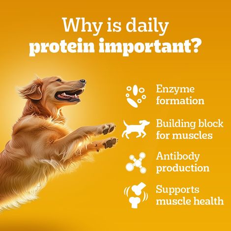 Pedigree Adult Chicken & Liver Chunks In Gravy Wet Dog Food