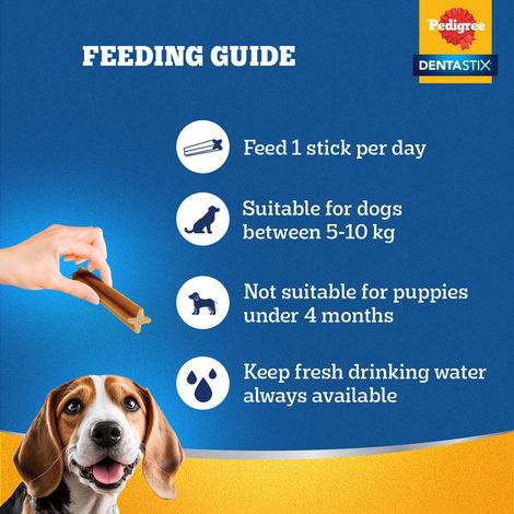 Pedigree Dentastix Adult Small Breed (5-10 Kg) Oral Care Dog Treat
