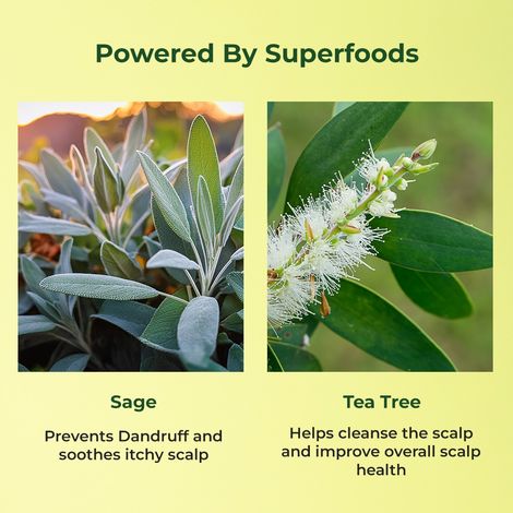 Naturali Anti-Dandruff Scalp Serum Sage Tea Tree Oil & Salicylic Acid