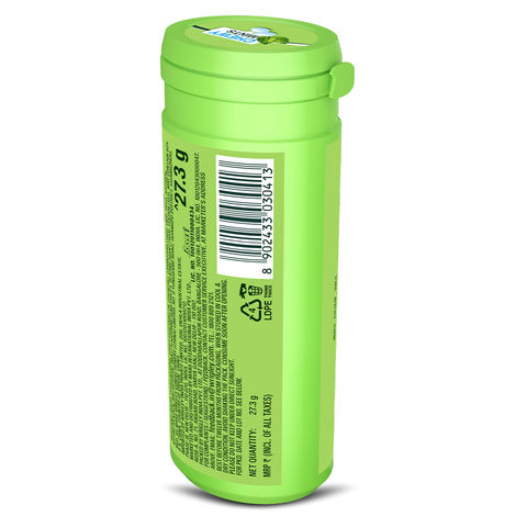 Doublemint Peppermint Chewy Mints Tube