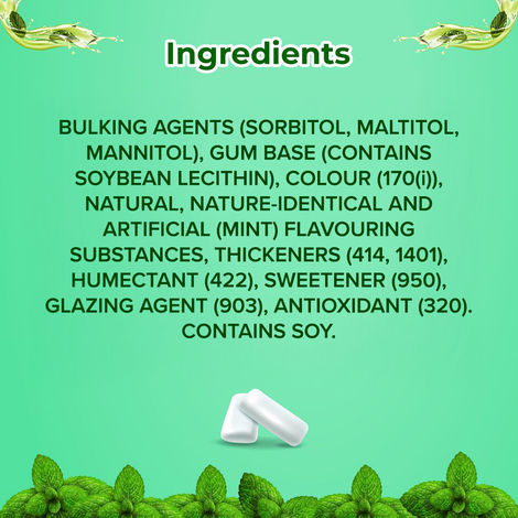 Orbit Sugar-Free Spearmint Chewing Gum Pot