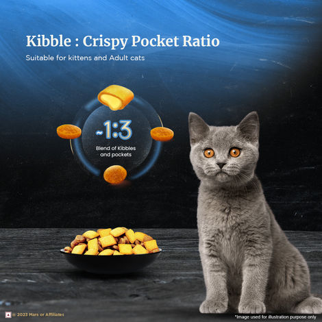 Sheba Kitten and Adult Salmon Flavour Dry Cat Food