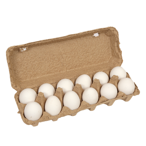 Fresh White Eggs