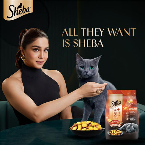 Sheba Kitten and Adult Chicken Flavour Dry Cat Food