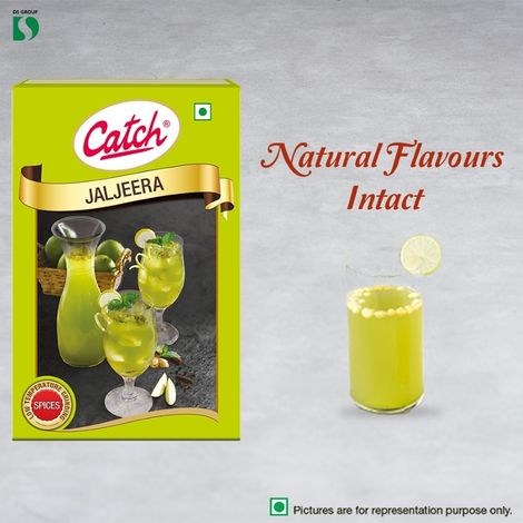 Catch Jaljeera Masala Powder